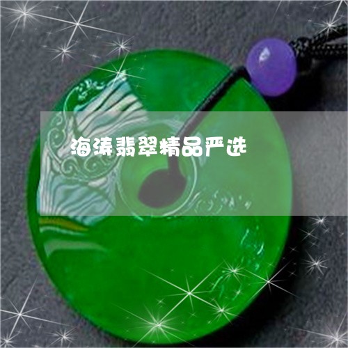 海涛翡翠精品严选/2023031936269 海涛翡翠精品严选/2023031936269