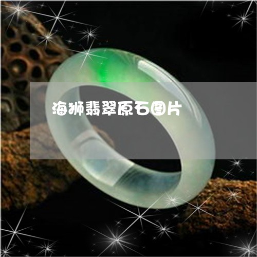 海狮翡翠原石图片/2023031972815