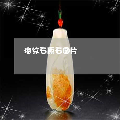海纹石原石图片/2023040184019