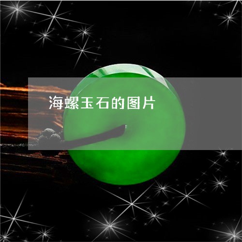 海螺玉石的图片/2023040150573