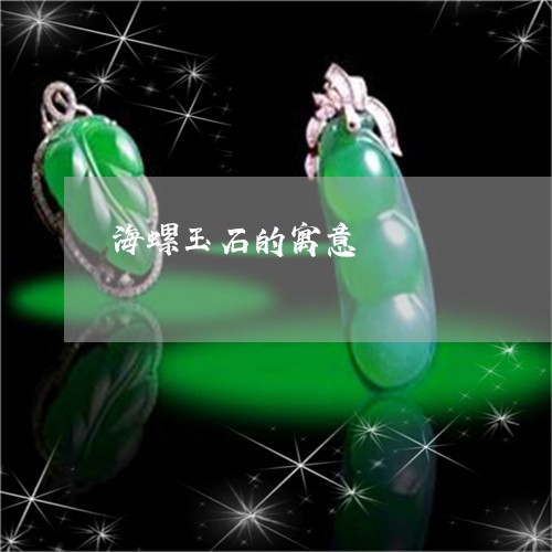 海螺玉石的寓意/2023040119372