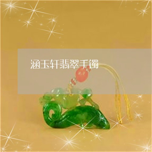 涵玉轩翡翠手镯/2023040118269