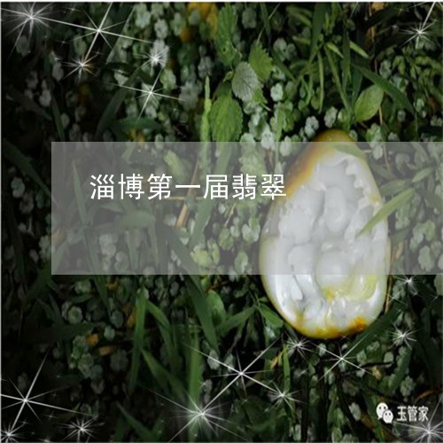 淄博第一届翡翠/2023033128058 淄博第一届翡翠/2023033128058