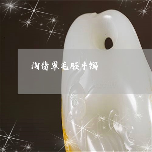 淘翡翠毛胚手镯/2023040163593