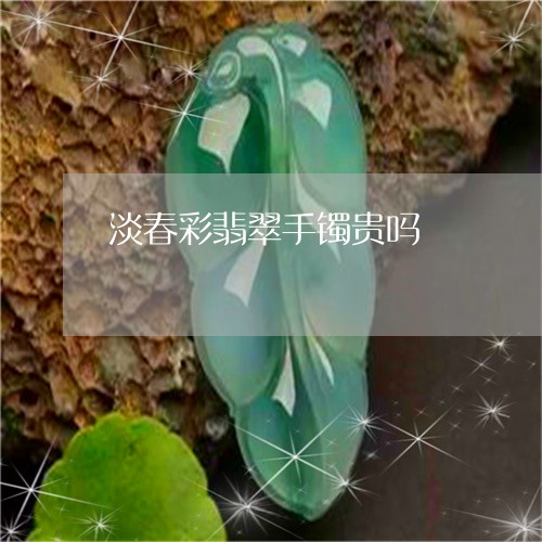 淡春彩翡翠手镯贵吗/2023041637350