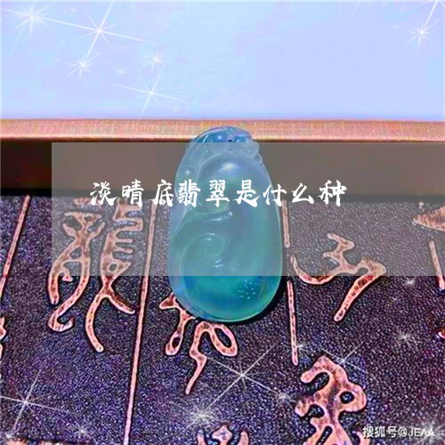 淡晴底翡翠是什么种/2023041673627