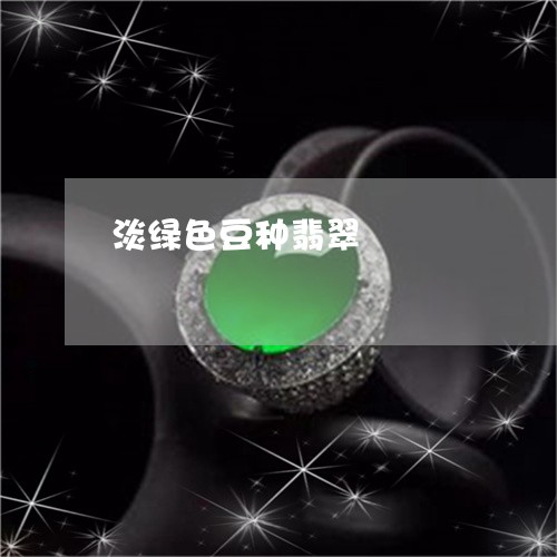淡绿色豆种翡翠/2023040152149 淡绿色豆种翡翠/2023040152149
