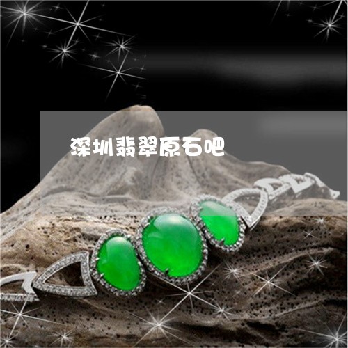 深圳翡翠原石吧/2023033119278 深圳翡翠原石吧/2023033119278