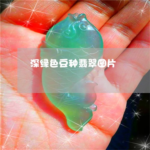 深绿色豆种翡翠图片/2023041616081