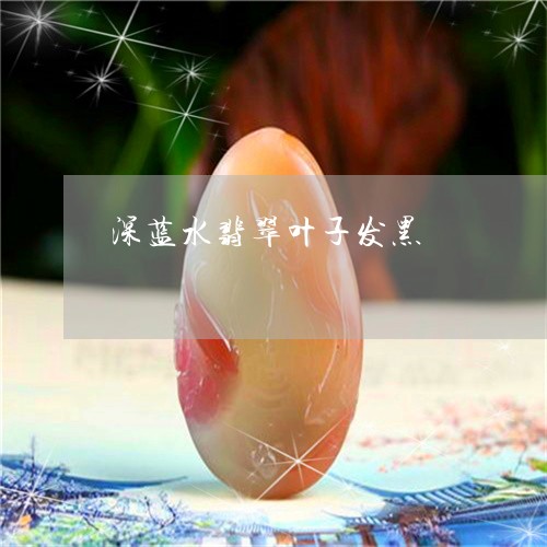 深蓝水翡翠叶子发黑/2023061620685