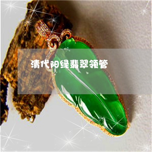 清代阳绿翡翠领管/2023032065148