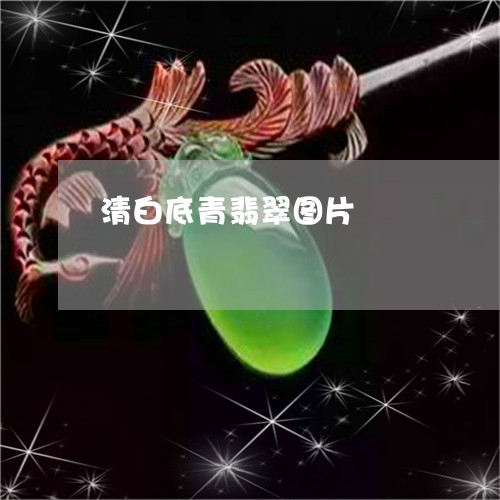 清白底青翡翠图片/2023032044249 清白底青翡翠图片/2023032044249