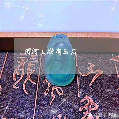 渭河上游有玉石/2023033110582 渭河上游有玉石/2023033110582