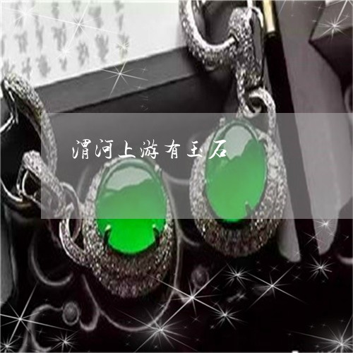 渭河上游有玉石/2023033159483 渭河上游有玉石/2023033159483