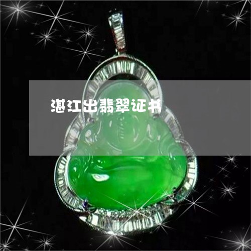 湛江出翡翠证书/2023033138261 湛江出翡翠证书/2023033138261