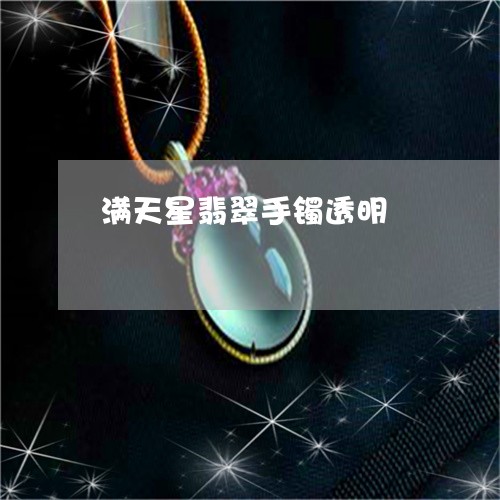 满天星翡翠手镯透明/2023041473805