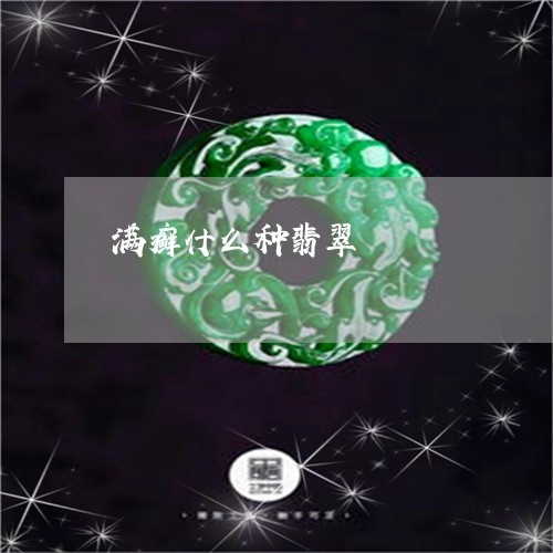 满癣什么种翡翠/2023033106848 满癣什么种翡翠/2023033106848
