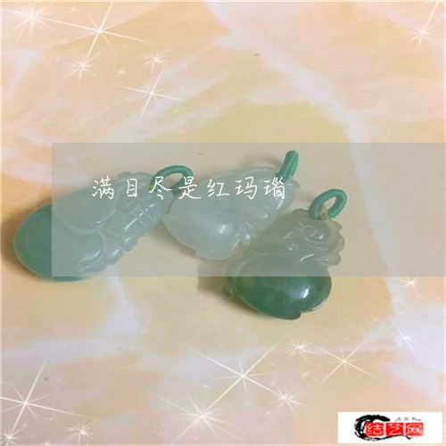 满目尽是红玛瑙/2023033139270 满目尽是红玛瑙/2023033139270