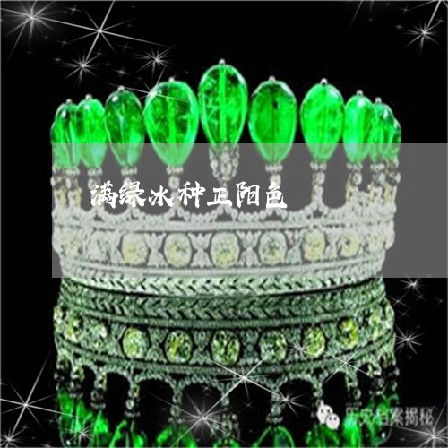 满绿冰种正阳色/2023033163405 满绿冰种正阳色/2023033163405