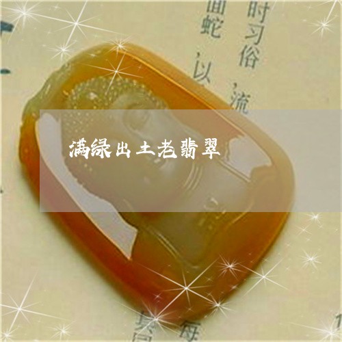 满绿出土老翡翠/2023033184894 满绿出土老翡翠/2023033184894