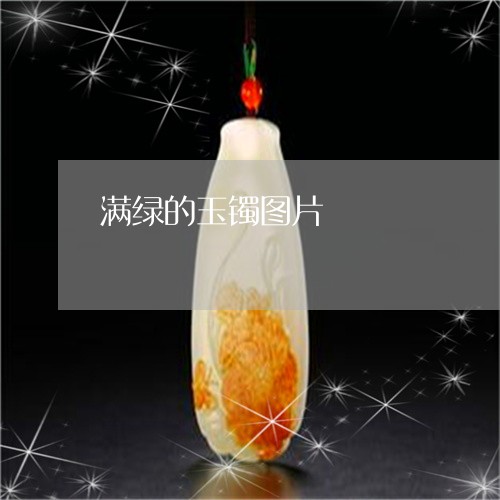 满绿的玉镯图片/2023033163714