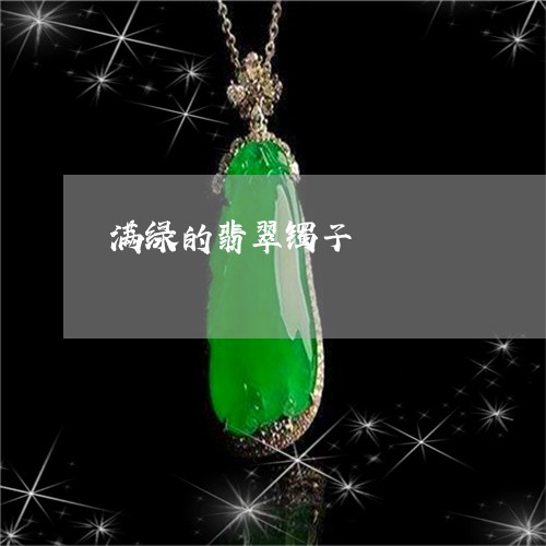 满绿的翡翠镯子/2023033106146 满绿的翡翠镯子/2023033106146