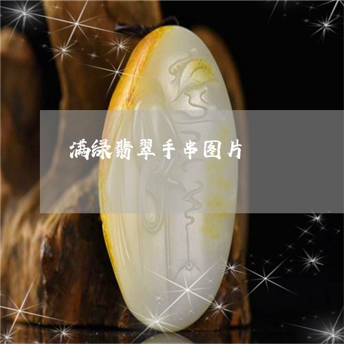 满绿翡翠手串图片/2023031834738 满绿翡翠手串图片/2023031834738