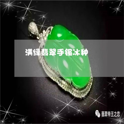 满绿翡翠手镯冰种/2023031808469