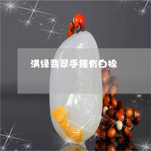 满绿翡翠手镯有白棉/2023041576926