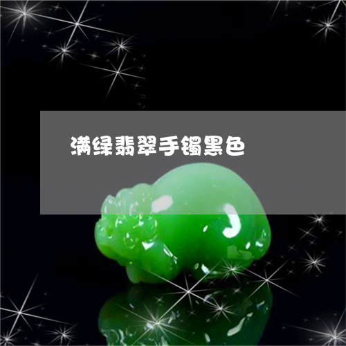满绿翡翠手镯黑色/2023031883947
