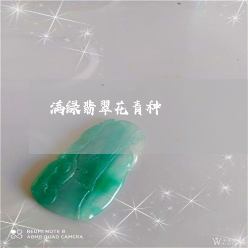 满绿翡翠花青种/2023033171584 满绿翡翠花青种/2023033171584