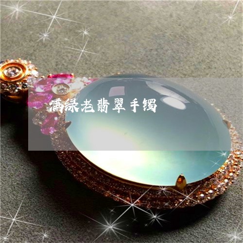 满绿老翡翠手镯/2023033163926 满绿老翡翠手镯/2023033163926