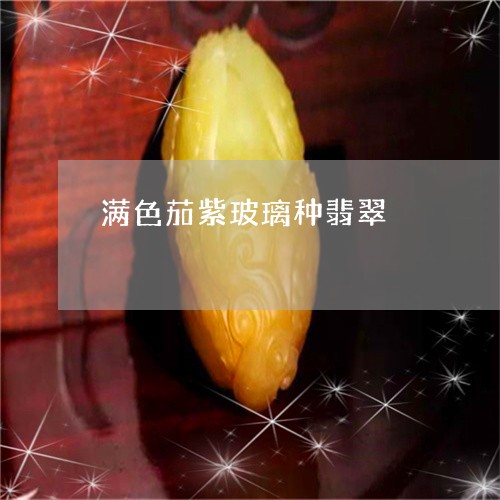 满色茄紫玻璃种翡翠/2023041439573