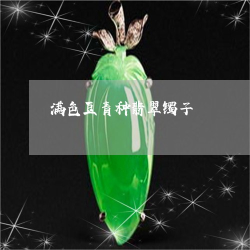 满色豆青种翡翠镯子/2023041460483