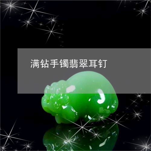 满钻手镯翡翠耳钉/2023031744726 满钻手镯翡翠耳钉/2023031744726