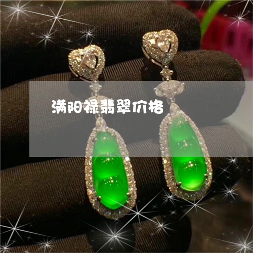 满阳禄翡翠价格/2023033147359