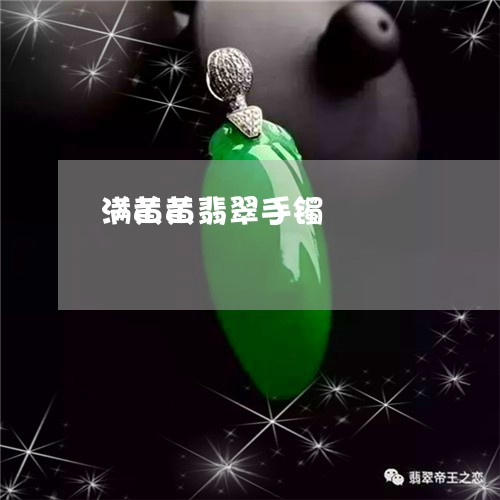 满黄黄翡翠手镯/2023033107240