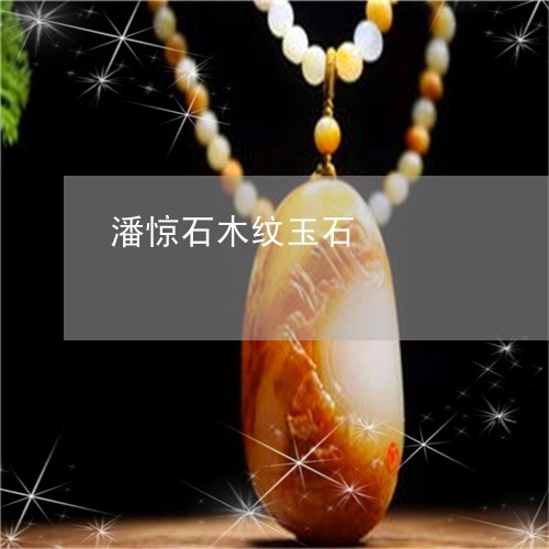 潘惊石木纹玉石/2023033155828 潘惊石木纹玉石/2023033155828