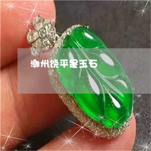 潮州饶平是玉石/2023033140583