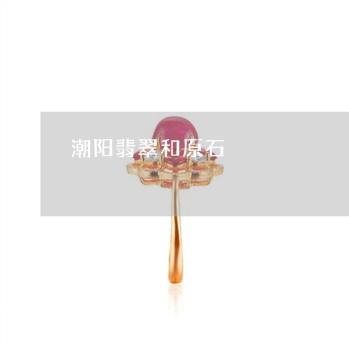 潮阳翡翠和原石/2023033106127 潮阳翡翠和原石/2023033106127