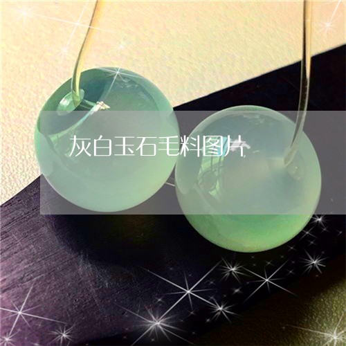 灰白玉石毛料图片/2023031889402 灰白玉石毛料图片/2023031889402