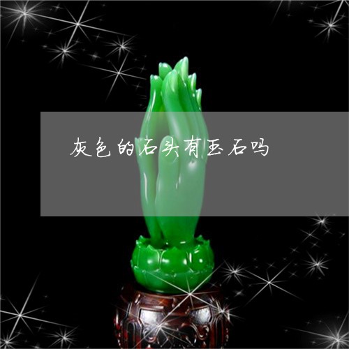 灰色的石头有玉石吗/2023041508459