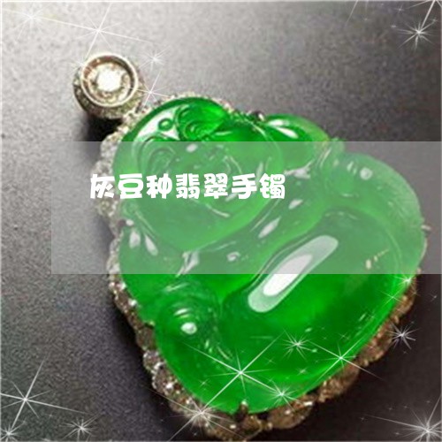 灰豆种翡翠手镯/2023033105839