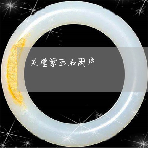 灵璧紫玉石图片/2023033160584