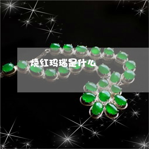 烧红玛瑙是什么/2023033172705