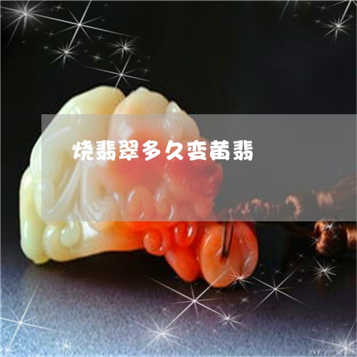 烧翡翠多久变黄翡/2023031933826 烧翡翠多久变黄翡/2023031933826