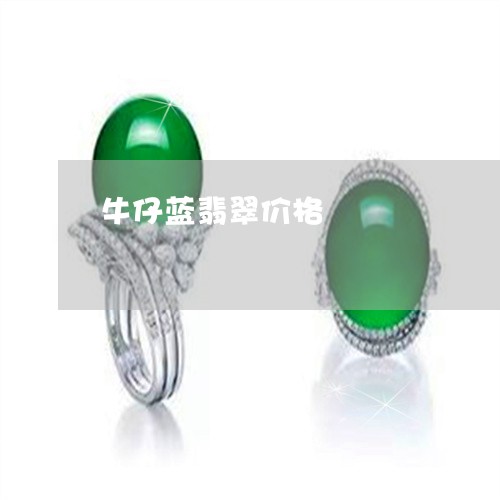 牛仔蓝翡翠价格/2023033142492 牛仔蓝翡翠价格/2023033142492
