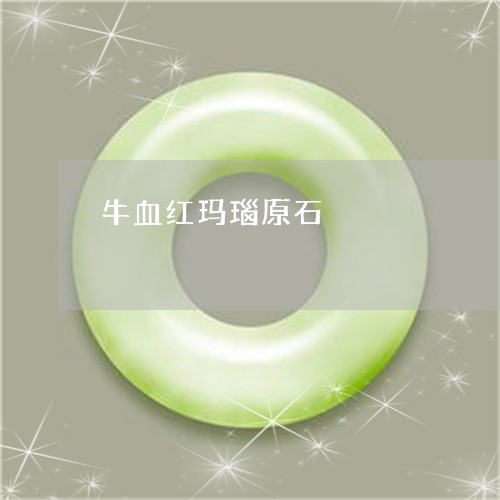 牛血红玛瑙原石/2023033151504 牛血红玛瑙原石/2023033151504