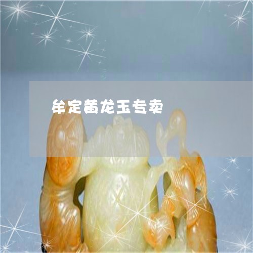 牟定黄龙玉专卖/2023033169481 牟定黄龙玉专卖/2023033169481
