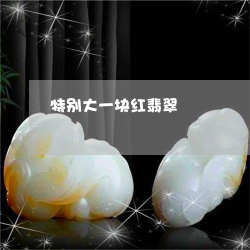 特别大一块红翡翠/2023031768462